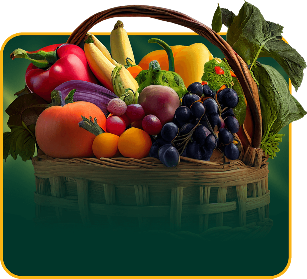 Fruits