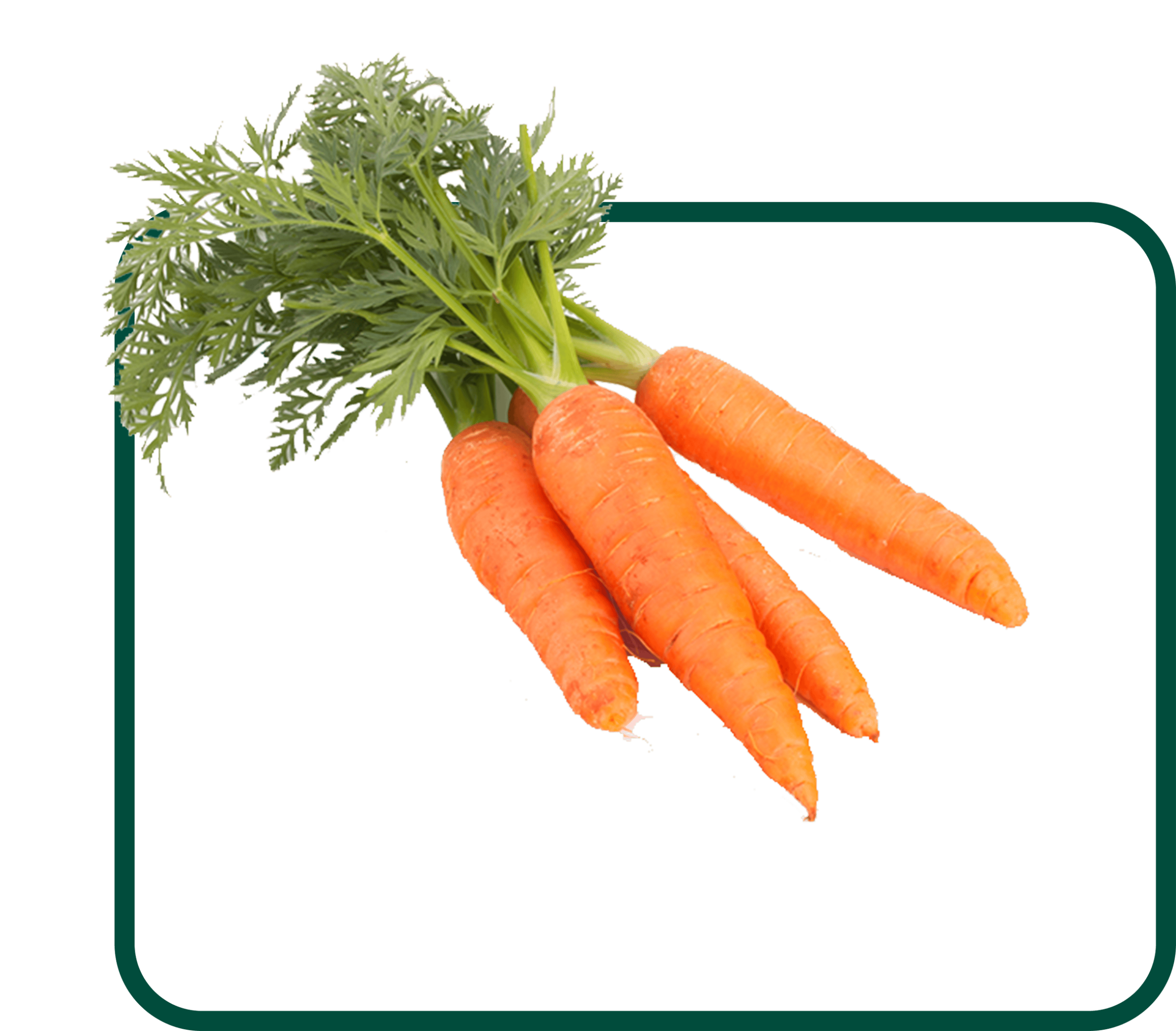 Carrots