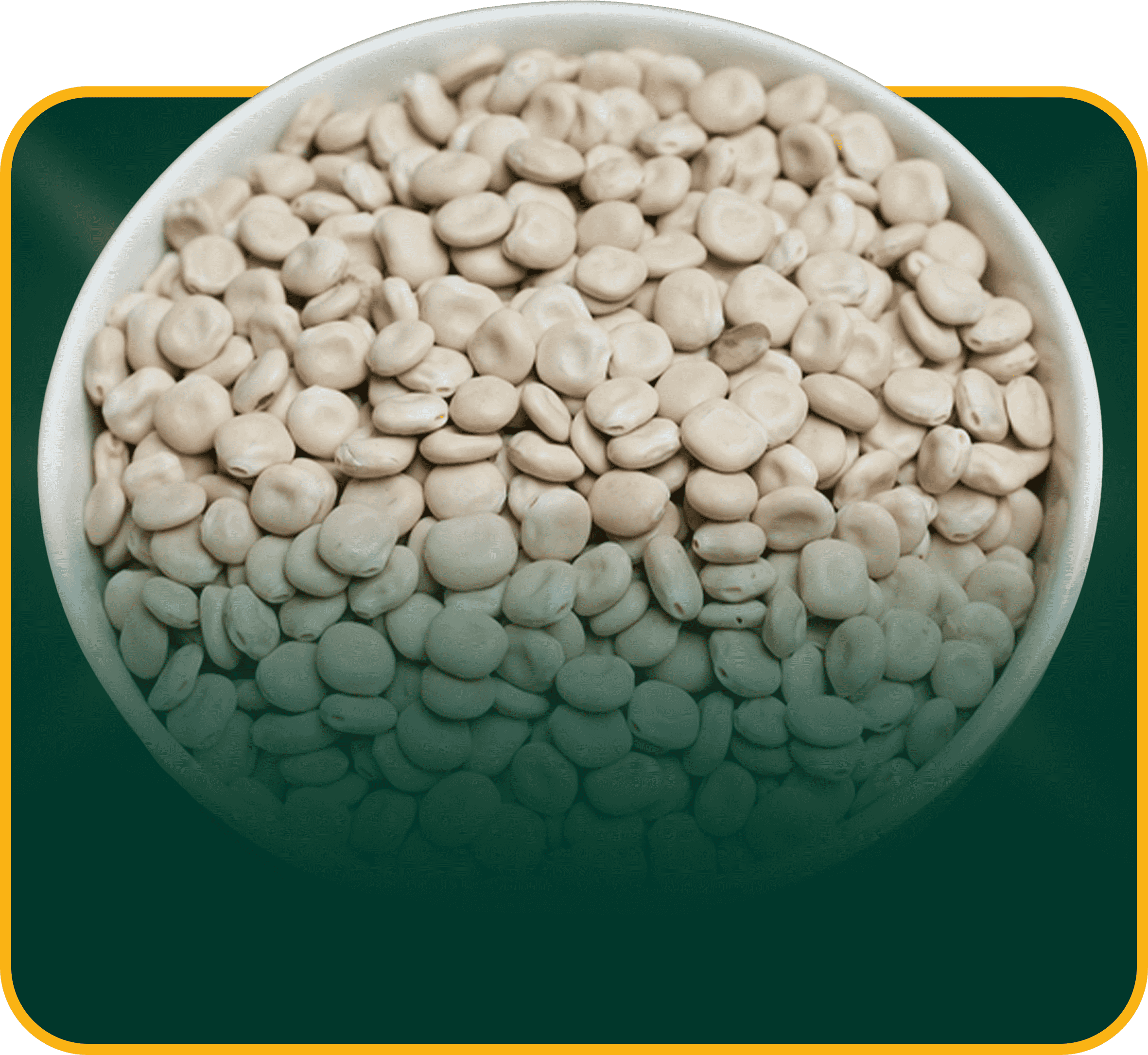
Beans