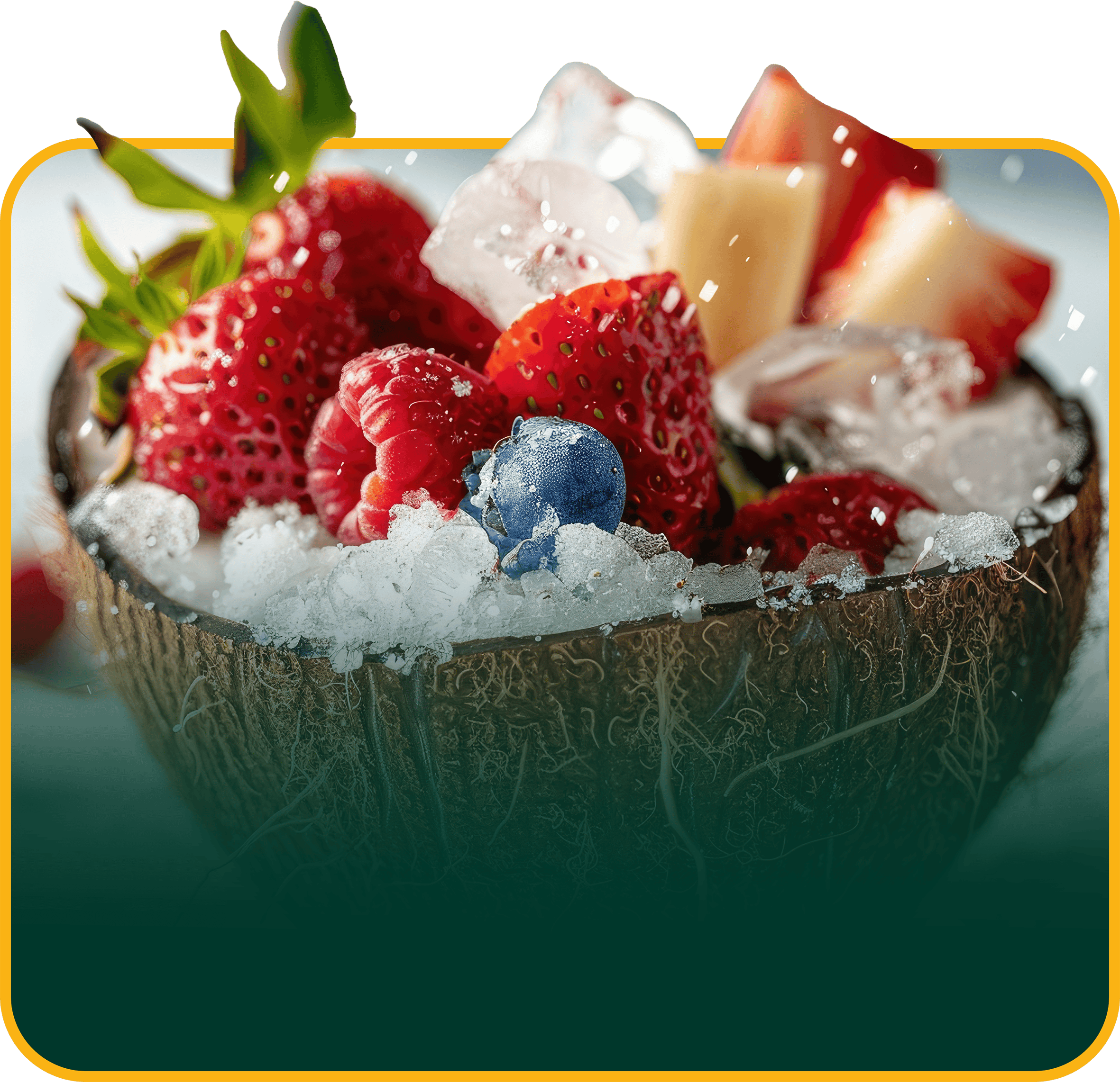 Frozen Fruits
