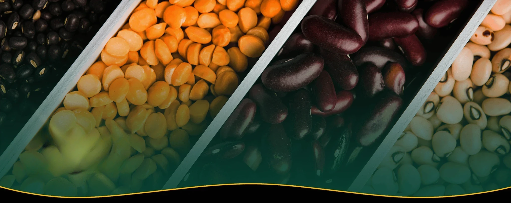 Grains & Legumes